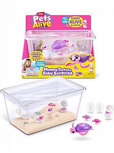 ��� ���- ��� ����