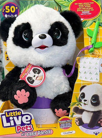 ���� �����  ���� ���� ���