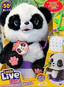 ���� �����  ���� ���� ���