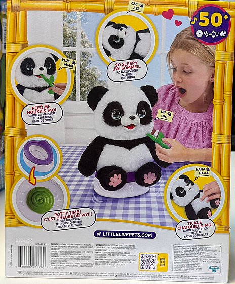 ���� �����  ���� ���� ���