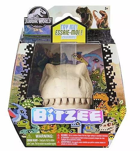 ����� ���� �����